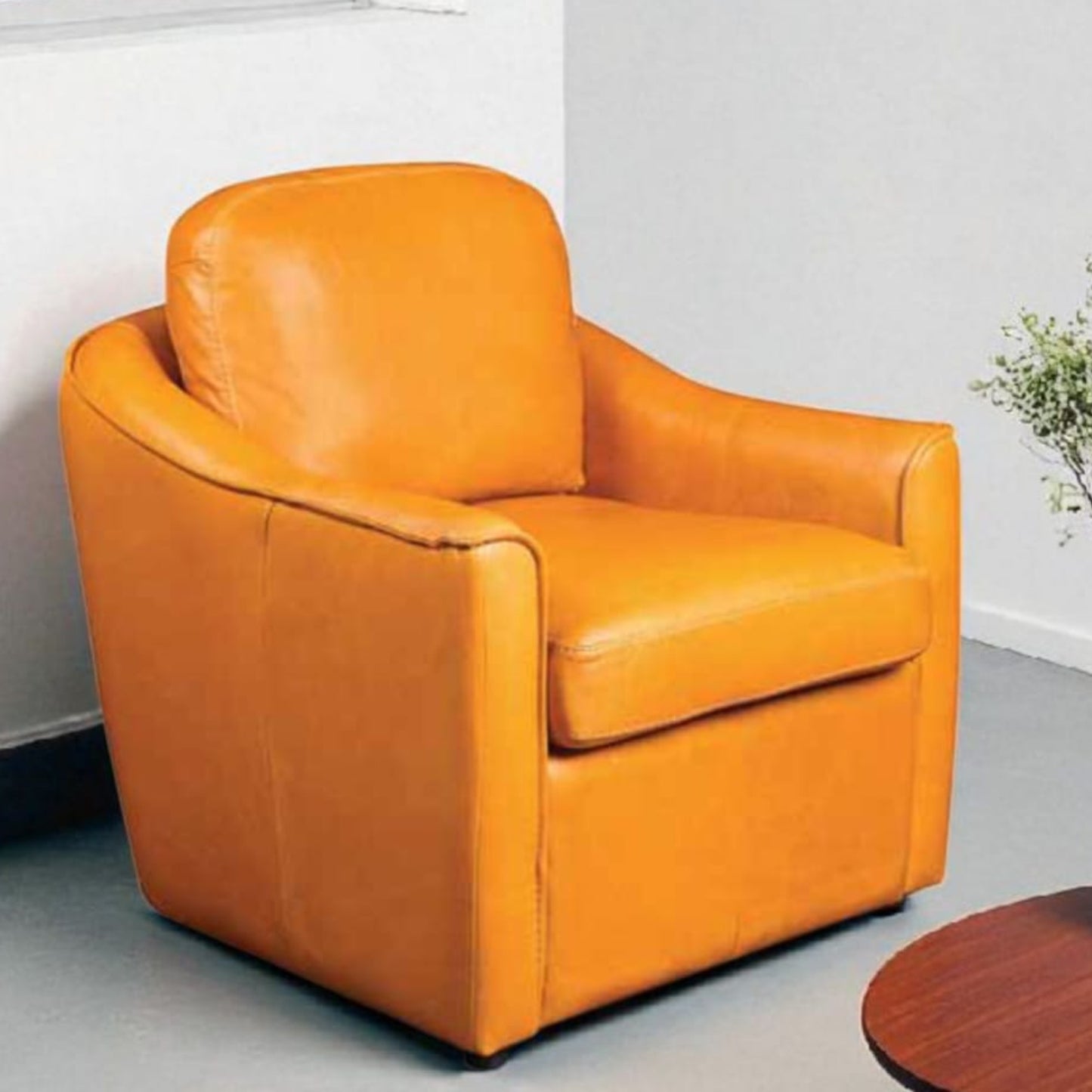 Caspian Occasional Tub Chair - Genuine Leather