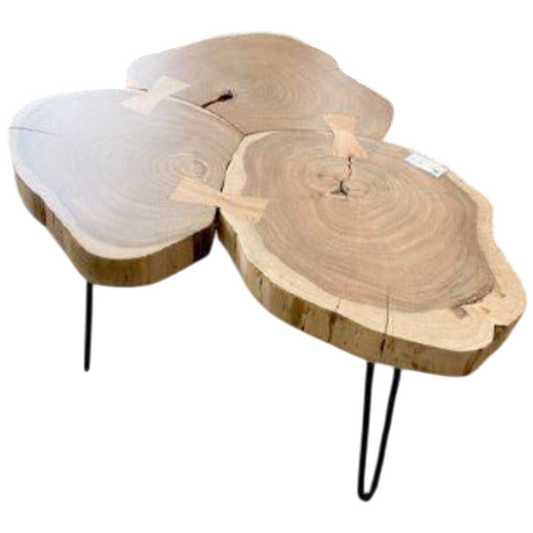 Tara Coffee Table