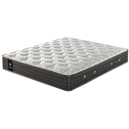 Sealy Posturepedic Borak Firm