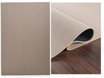 Eco Promo Assorted Rug 200x280