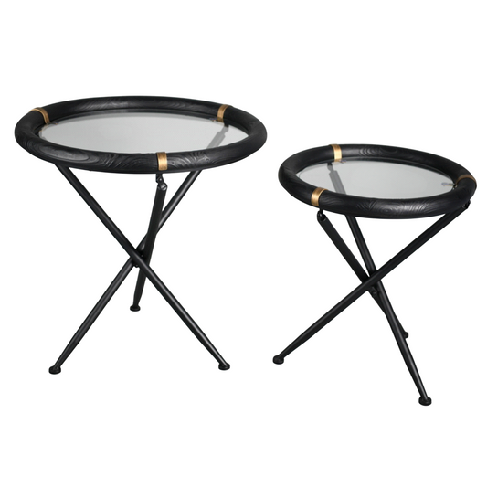 Darcy Set of 2 Coffee Tables
