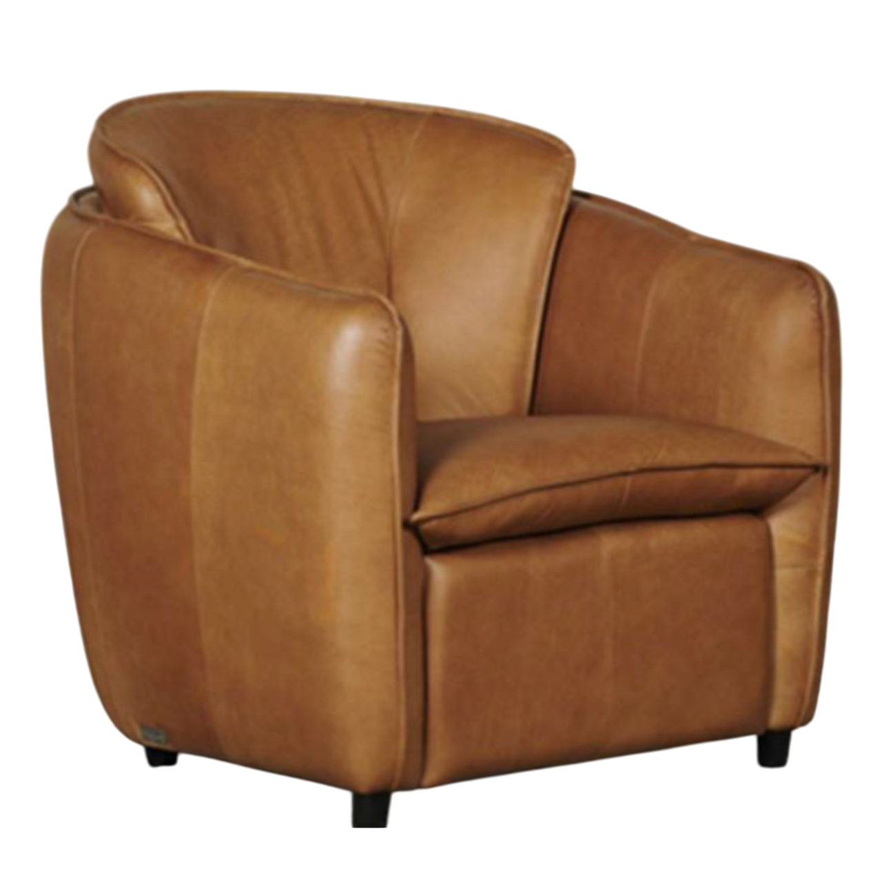 Grafton Novella Occasional Chair - Genuine Leather