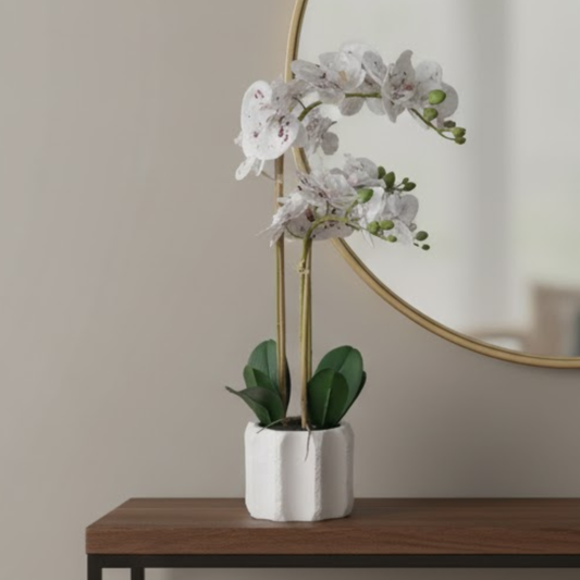 Orchid Touch Speckled Plant - YIG35U1
