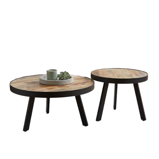 Toby Set Of 2 Coffee Tables